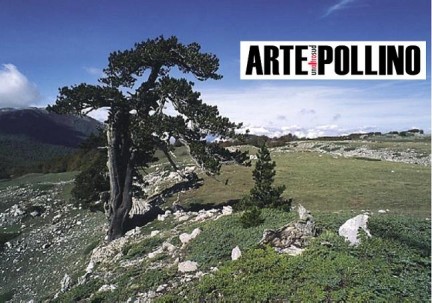 ArtePollino - Parco del Pollino - Basilicata
